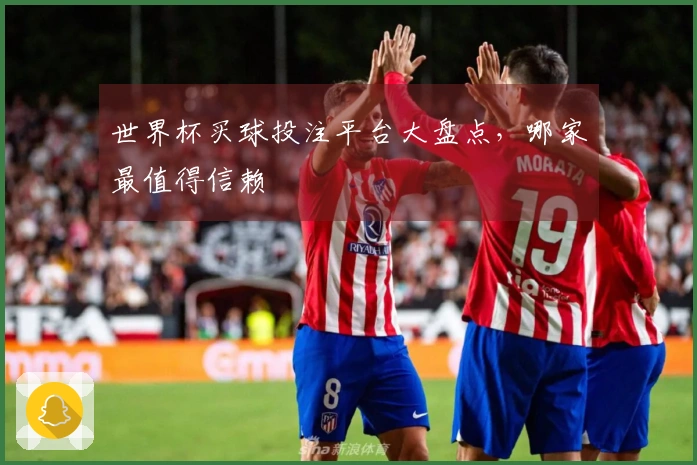 世界杯买球投注平台大盘点，哪家最值得信赖