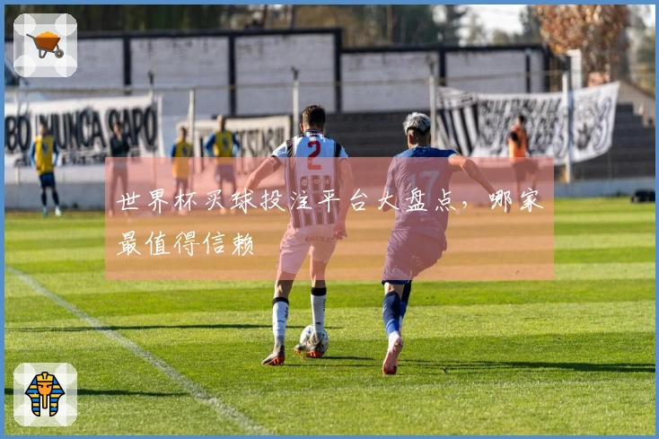 世界杯买球投注平台大盘点，哪家最值得信赖