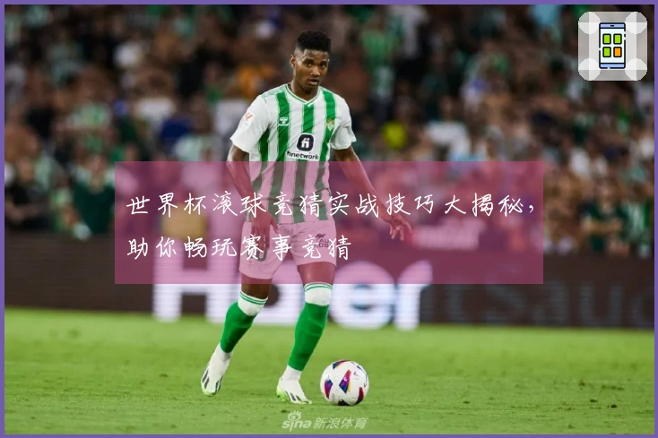 世界杯滚球竞猜实战技巧大揭秘，助你畅玩赛事竞猜
