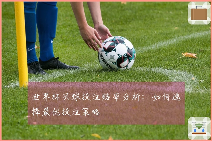 世界杯买球投注赔率分析：如何选择最优投注策略