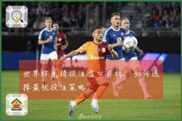 世界杯竞猜投注盘口分析：如何选择最优投注策略？